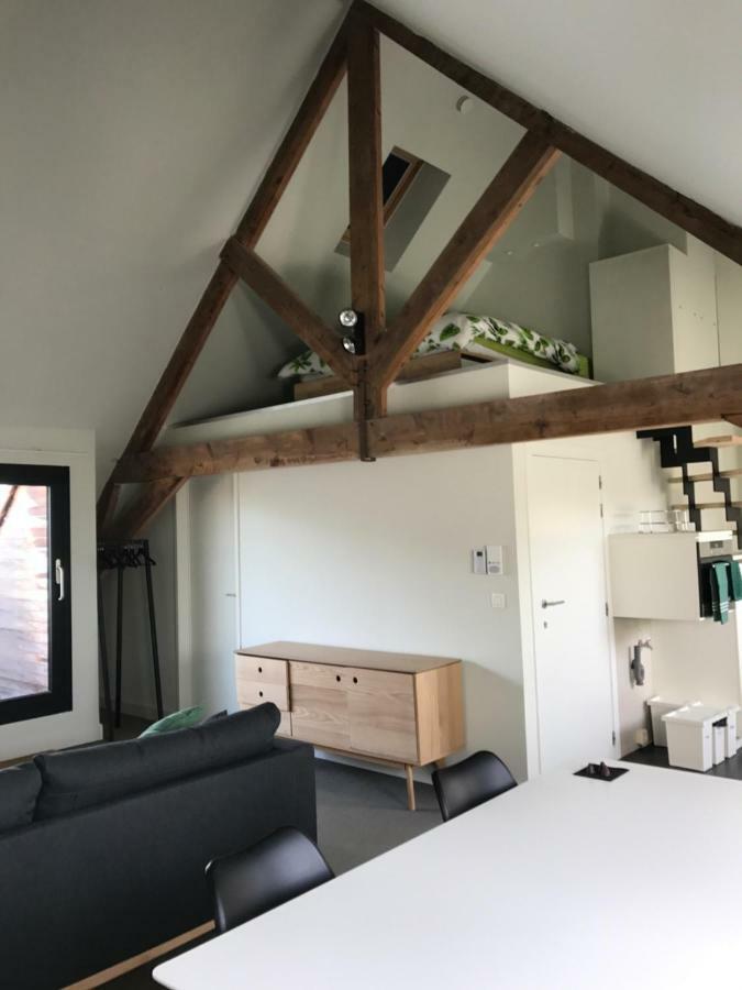 Baudelo Apartment Gent Buitenkant foto